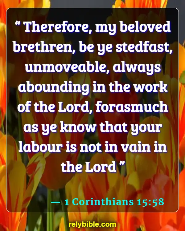 Bible verses About Bravery (1 Corinthians 15:58)