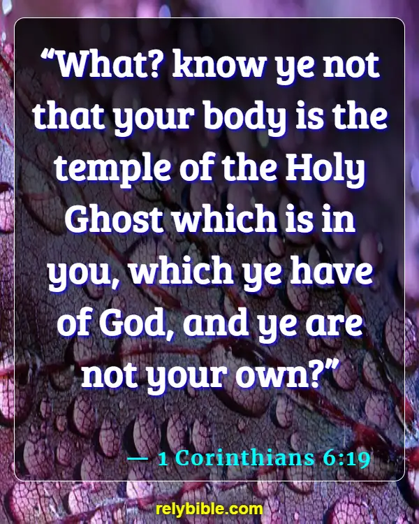Bible verses About Harming Your Body (1 Corinthians 6:19)