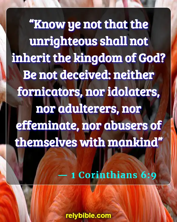 Bible Verse (1 Corinthians 6:9)