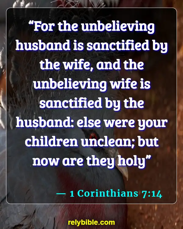 Bible verses About Husband Duties (1 Corinthians 7:14)