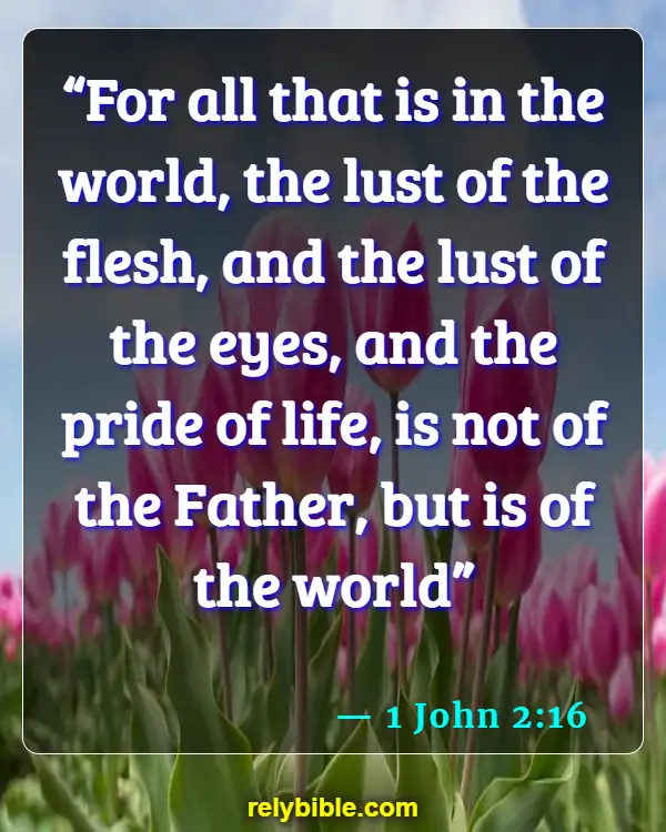 Bible Verse (1 John 2:16)