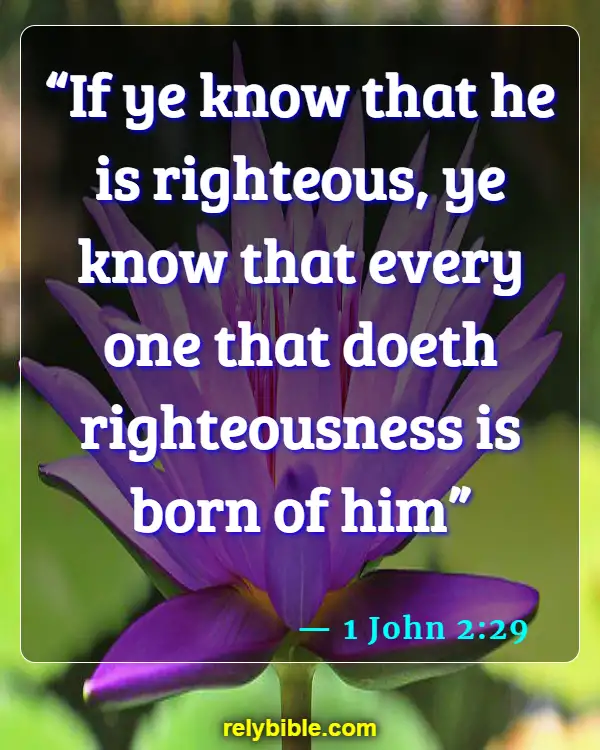Bible Verse (1 John 2:29)