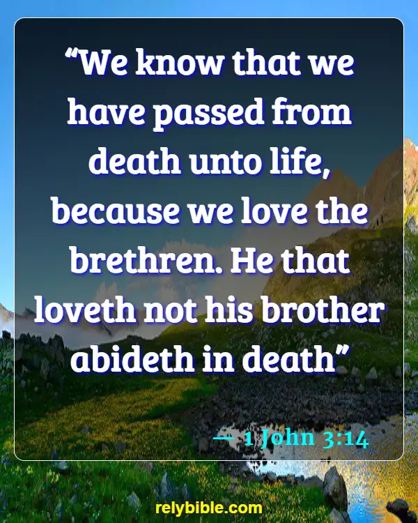 Bible verses About Loving Your Brother (1 John 3:14)