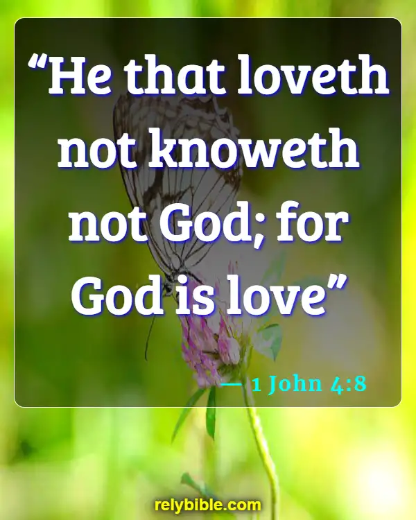 Bible verses About Loving Your Brother (1 John 4:8)