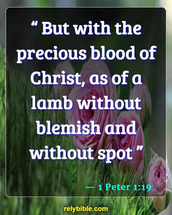 Bible verses About Defending The Weak (1 Peter 1:19)