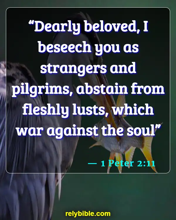 Bible Verse (1 Peter 2:11)