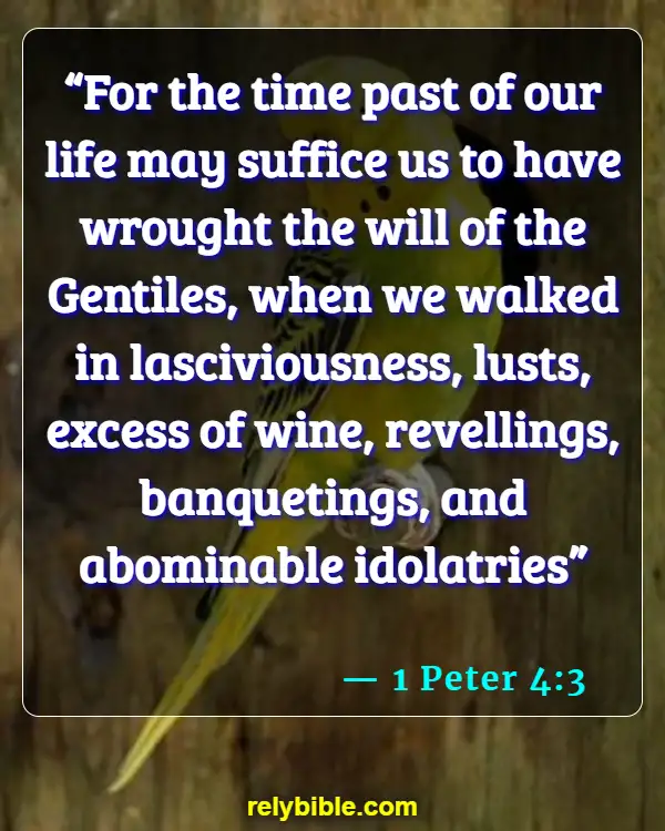 Bible Verse (1 Peter 4:3)