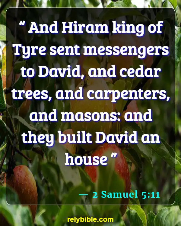 Bible Verse (2 Samuel 5:11)