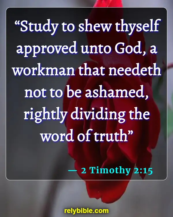 Bible verses About Identity In Christ (2 Timothy 2:15)