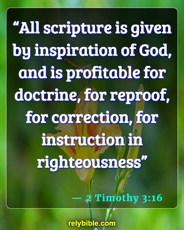 Bible verses About Reflection (2 Timothy 3:16)