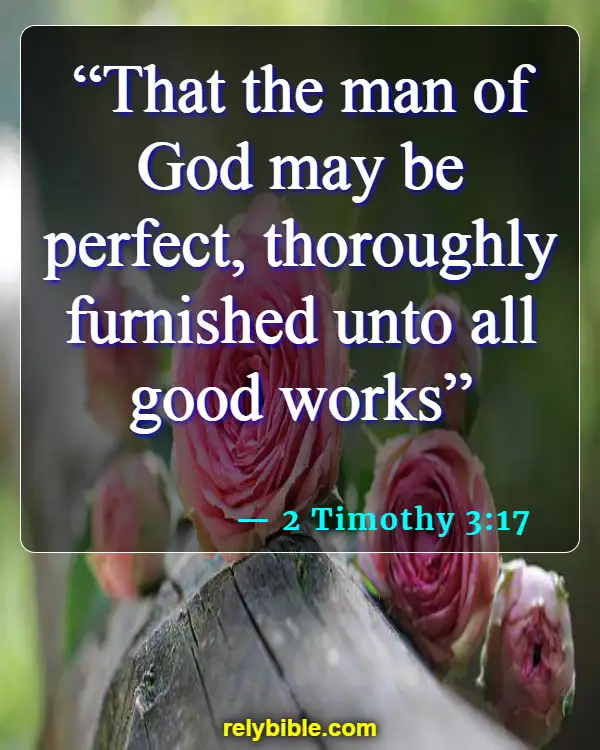 Bible Verse (2 Timothy 3:17)