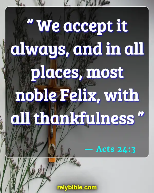 Bible Verse (Acts 24:3)
