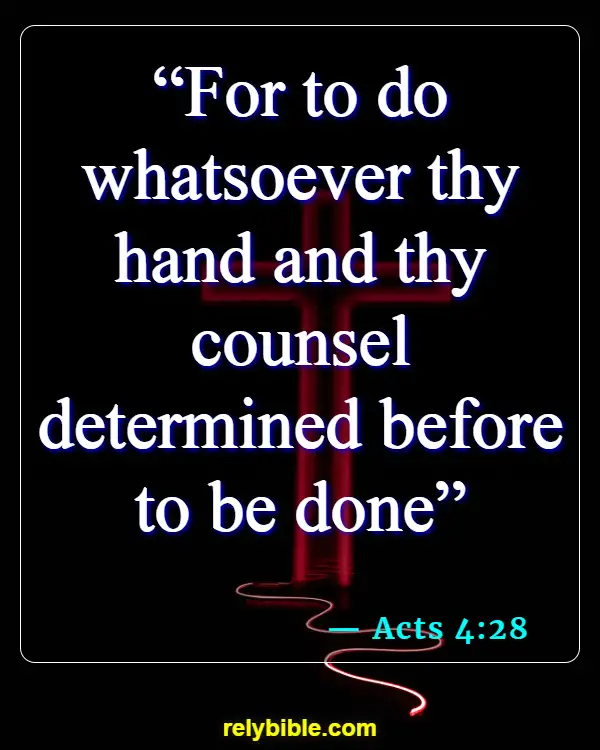 Bible Verse (Acts 4:28)