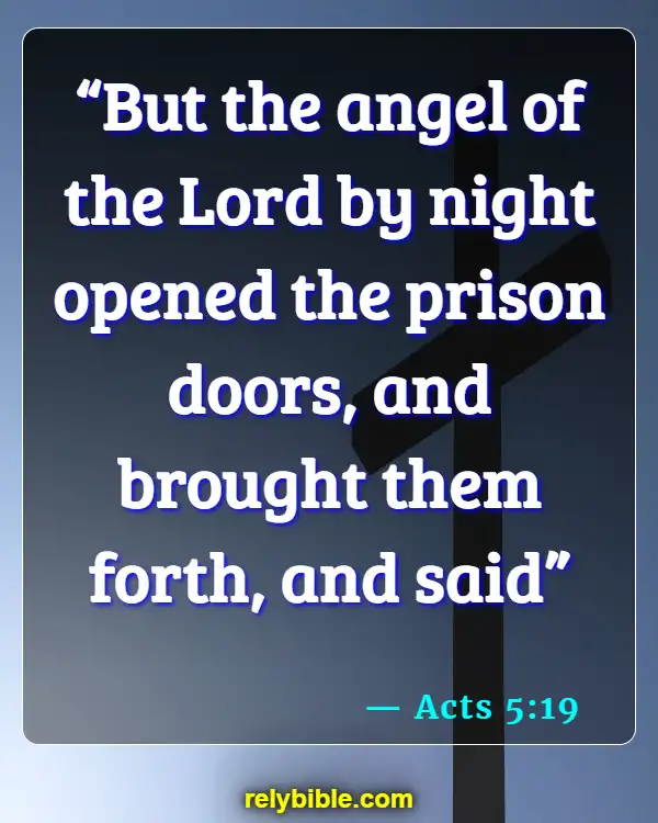 Bible Verse (Acts 5:19)
