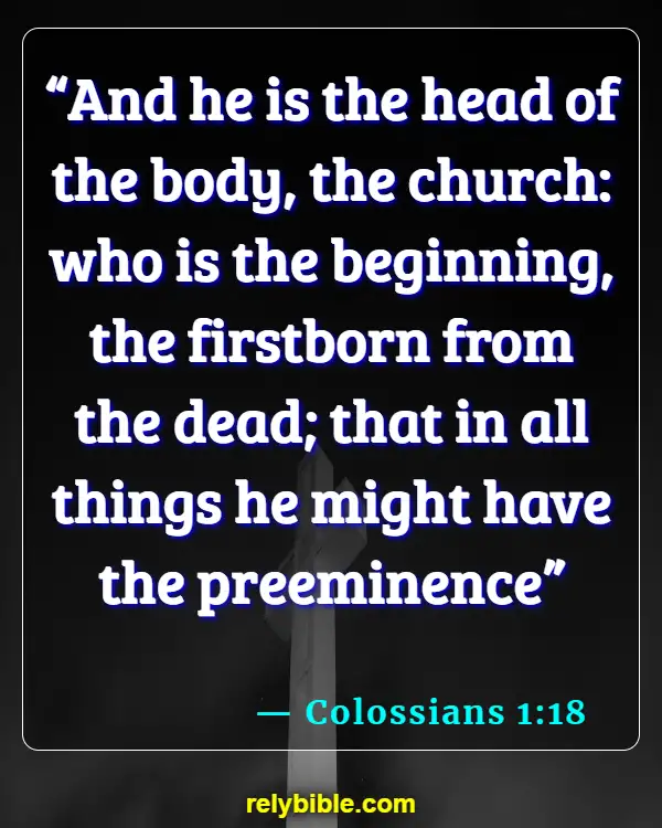 Bible Verse (Colossians 1:18)