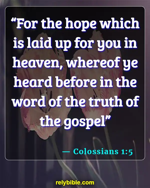 Bible Verse (Colossians 1:5)