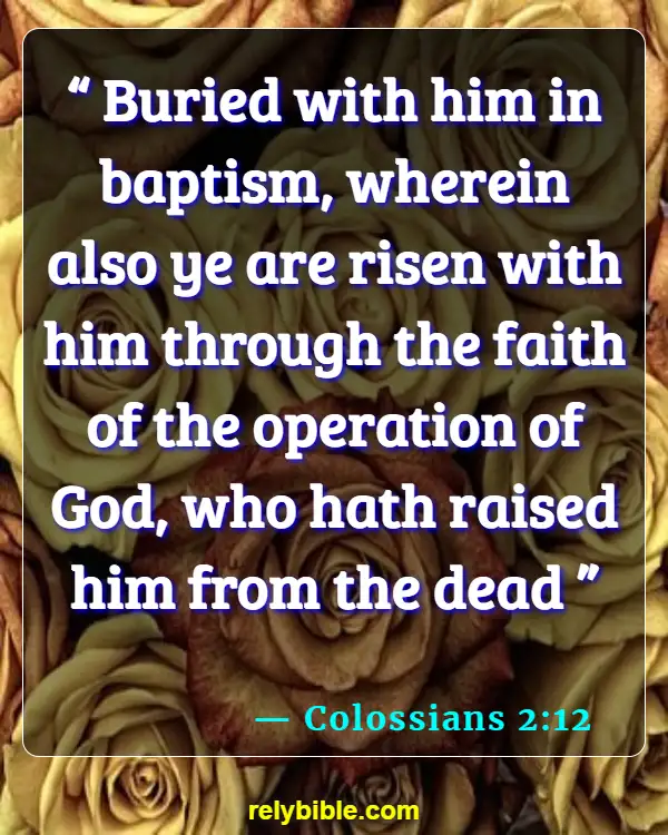 Bible verses About Good Company (Colossians 2:12)