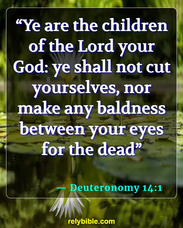 Bible verses About Harming Your Body (Deuteronomy 14:1)