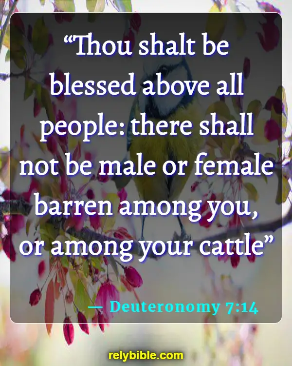 Bible Verse (Deuteronomy 7:14)