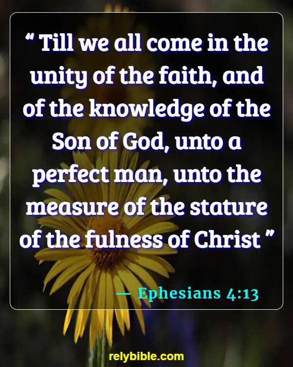Bible Verse (Ephesians 4:13)