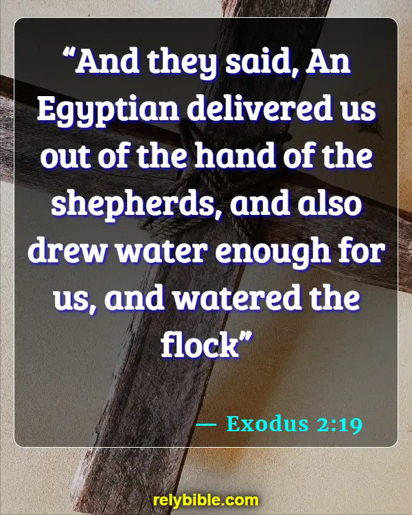 Bible Verse (Exodus 2:19)