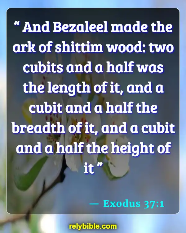 Bible Verse (Exodus 37:1)