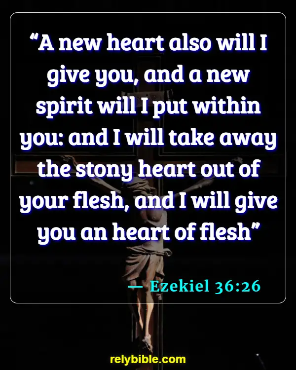 Bible verses About Hardened Hearts (Ezekiel 36:26)