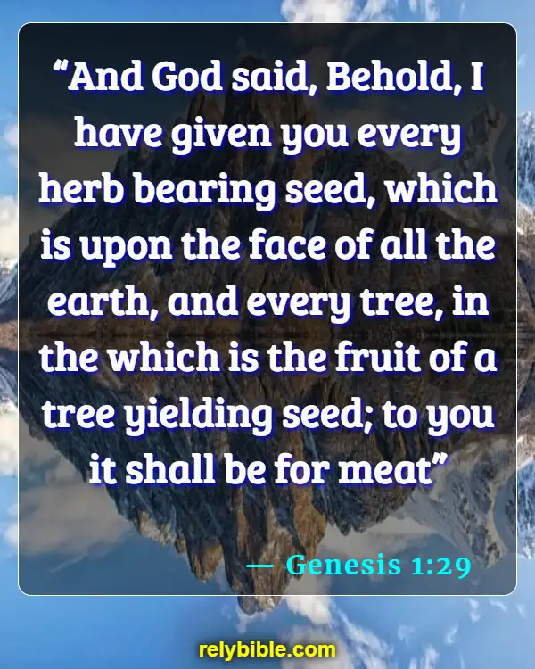 Bible verses About Healthy Body (Genesis 1:29)