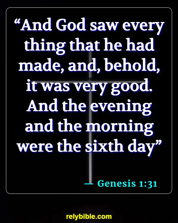 Bible Verse (Genesis 1:31)