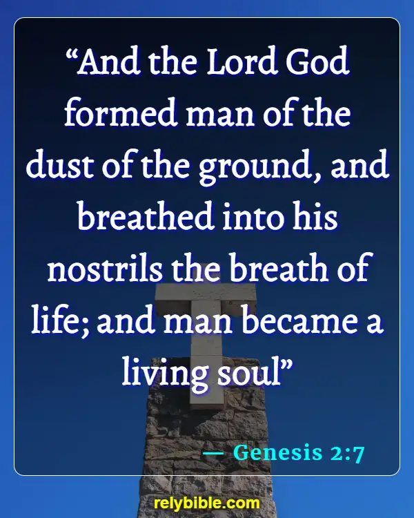 Bible verses About When Life Begins (Genesis 2:7)