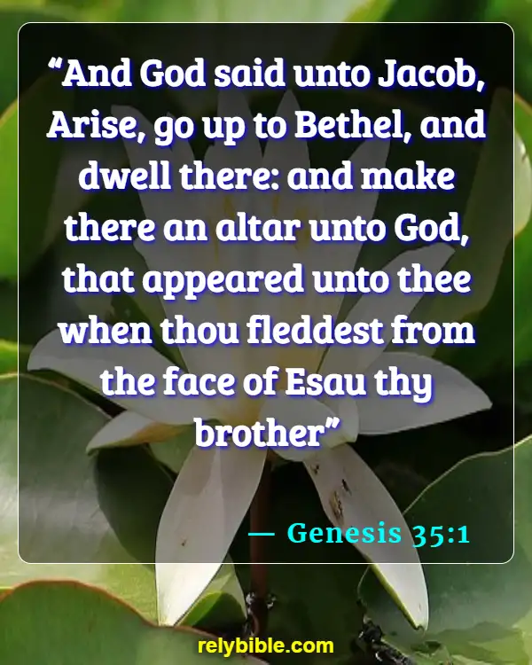 Bible Verse (Genesis 35:1)