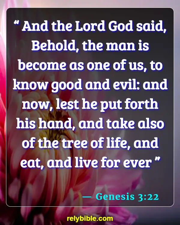 Bible Verse (Genesis 3:22)