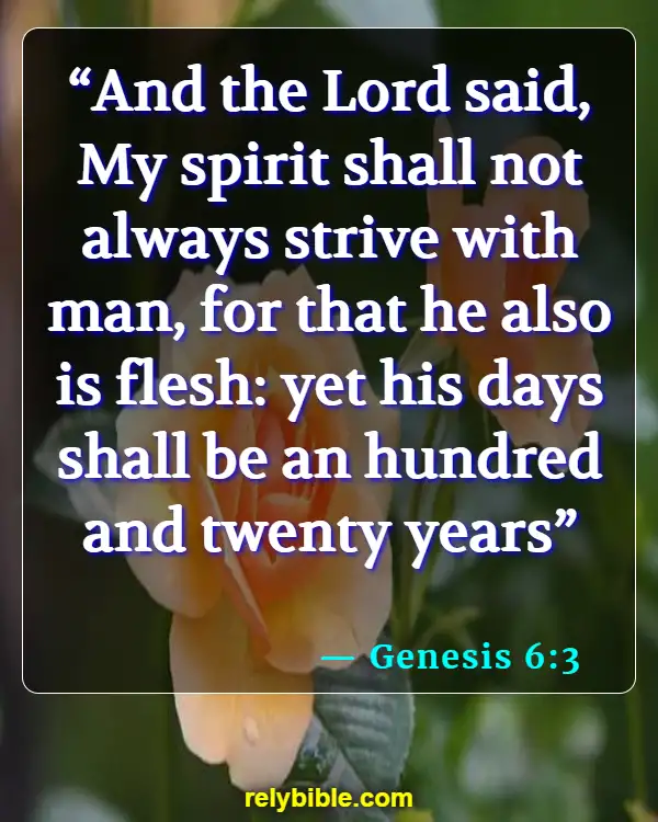 Bible verses About Spirit (Genesis 6:3)