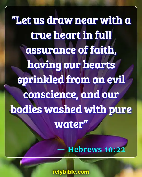 Bible verses About The Heart Of Man (Hebrews 10:22)