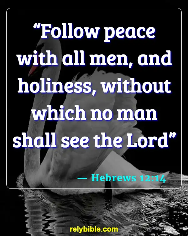 Bible verses About Reconciliation (Hebrews 12:14)