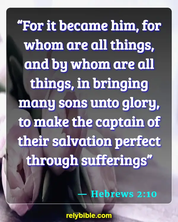 Bible Verse (Hebrews 2:10)