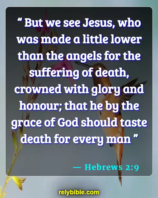 Bible verses About Taste (Hebrews 2:9)