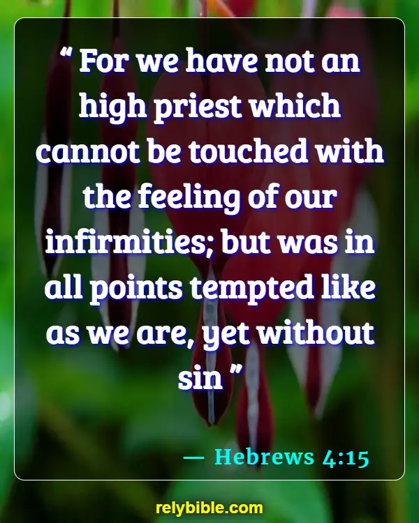 Bible verses About Compassion (Hebrews 4:15)
