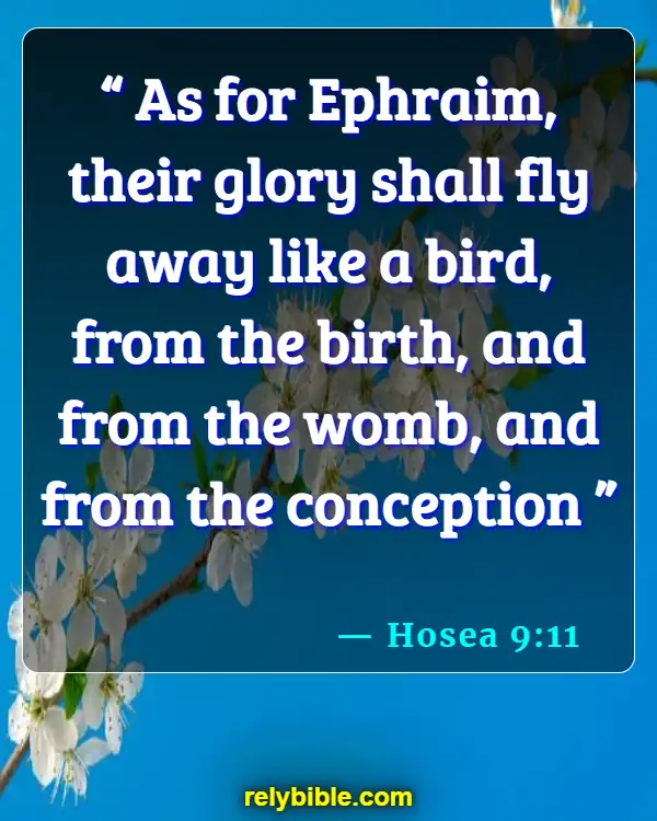 Bible verses About Getting Pregnant (Hosea 9:11)