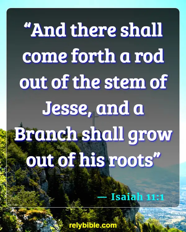 Bible Verse (Isaiah 11:1)