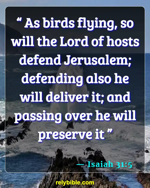 Bible verses About Feathers (Isaiah 31:5)