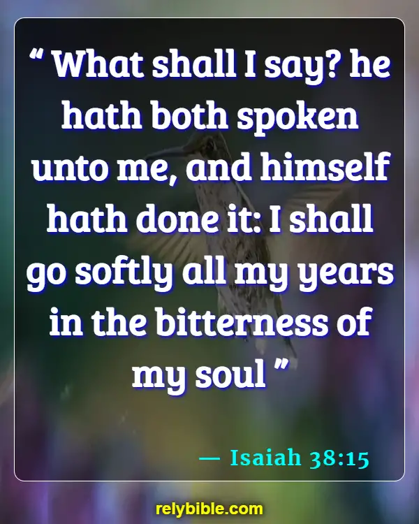 Bible Verse (Isaiah 38:15)