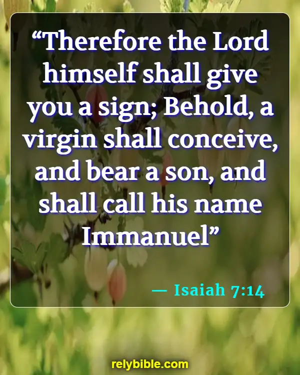 Bible Verse (Isaiah 7:14)