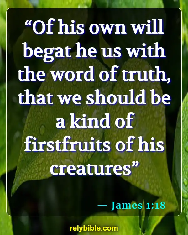 Bible verses About Being Chosen By God (James 1:18)