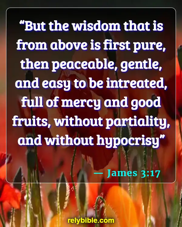 Bible verses About Gods Peace (James 3:17)