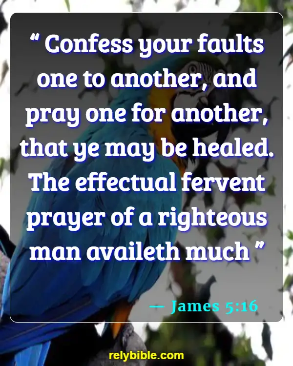 Bible verses About Harming Your Body (James 5:16)