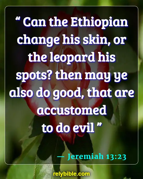 Bible Verse (Jeremiah 13:23)