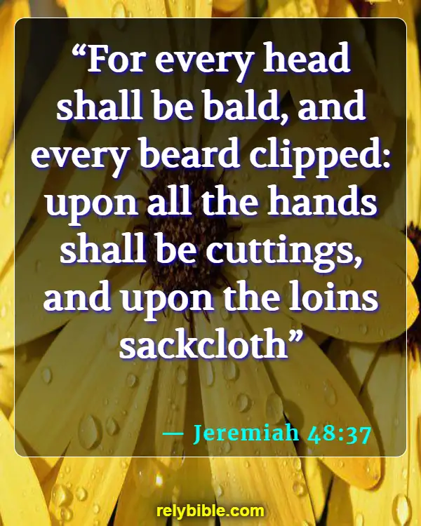 Bible Verse (Jeremiah 48:37)