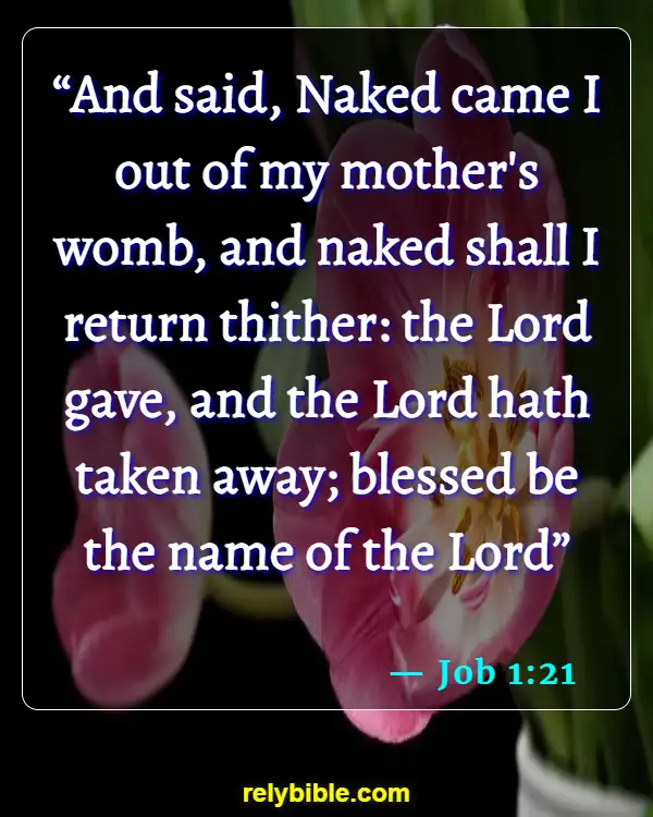 Bible verses About Finding A Job (Job 1:21)