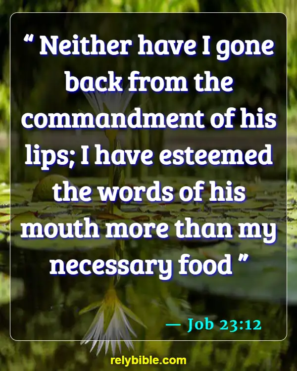 Bible verses About Speech (Job 23:12)